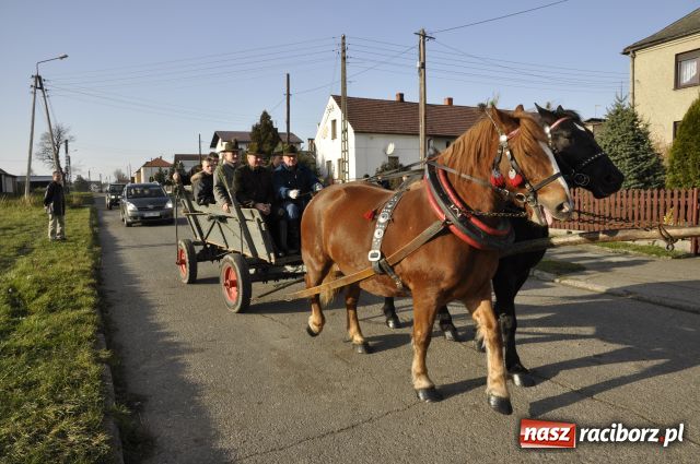 Zdjęcie w galerii na portalu naszraciborz.pl: Lis złapany w OKAMGNIENIU wiadomości z regionu