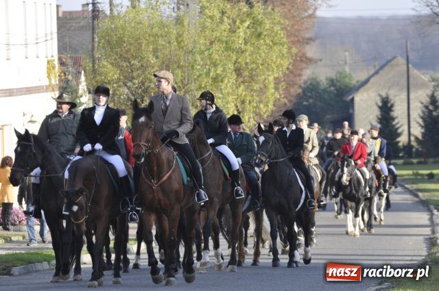 Zdjęcie w galerii na portalu naszraciborz.pl: Lis złapany w OKAMGNIENIU wiadomości z regionu