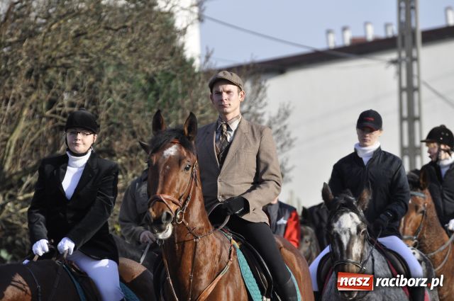 Zdjęcie w galerii na portalu naszraciborz.pl: Lis złapany w OKAMGNIENIU wiadomości z regionu