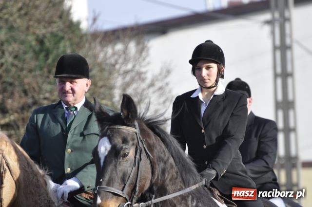 Zdjęcie w galerii na portalu naszraciborz.pl: Lis złapany w OKAMGNIENIU wiadomości z regionu