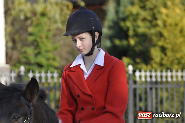 Zdjęcie w galerii na portalu naszraciborz.pl: Lis złapany w OKAMGNIENIU wiadomości z regionu
