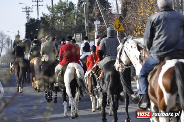 Zdjęcie w galerii na portalu naszraciborz.pl: Lis złapany w OKAMGNIENIU wiadomości z regionu
