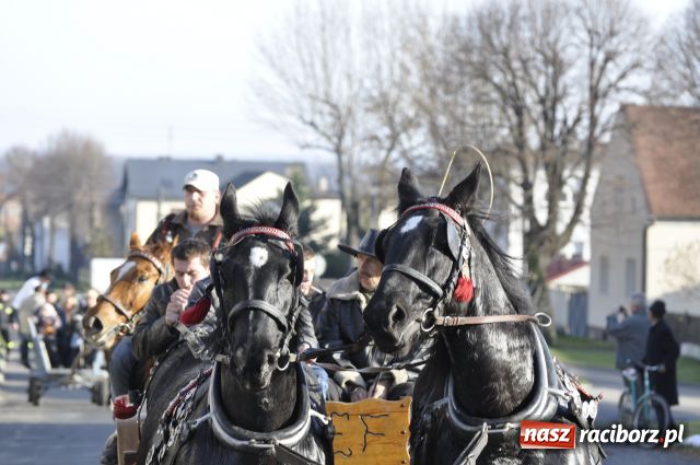 Zdjęcie w galerii na portalu naszraciborz.pl: Lis złapany w OKAMGNIENIU wiadomości z regionu