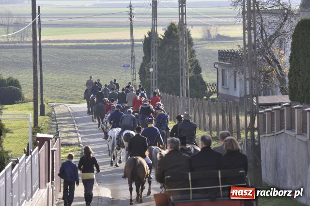 Zdjęcie w galerii na portalu naszraciborz.pl: Lis złapany w OKAMGNIENIU wiadomości z regionu