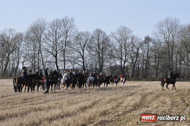 Zdjęcie w galerii na portalu naszraciborz.pl: Lis złapany w OKAMGNIENIU wiadomości z regionu
