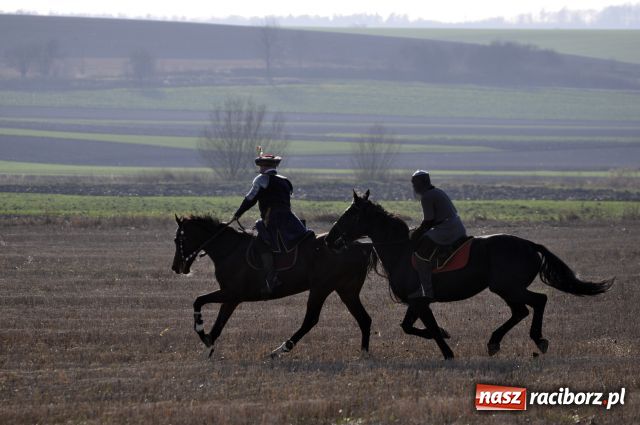 Zdjęcie w galerii na portalu naszraciborz.pl: Lis złapany w OKAMGNIENIU wiadomości z regionu