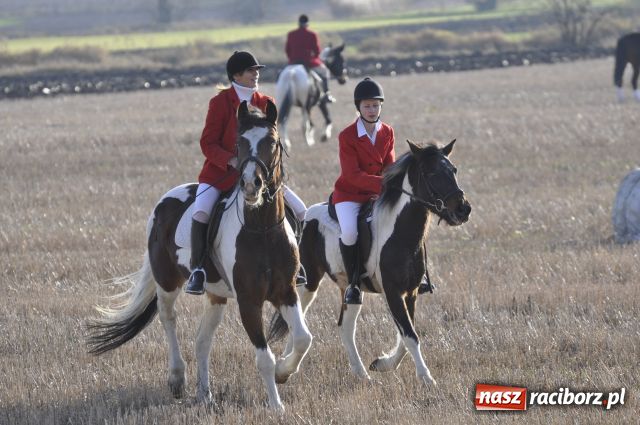Zdjęcie w galerii na portalu naszraciborz.pl: Lis złapany w OKAMGNIENIU wiadomości z regionu