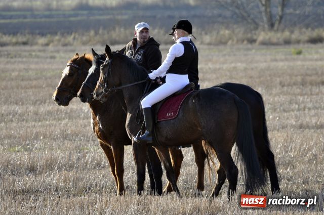 Zdjęcie w galerii na portalu naszraciborz.pl: Lis złapany w OKAMGNIENIU wiadomości z regionu