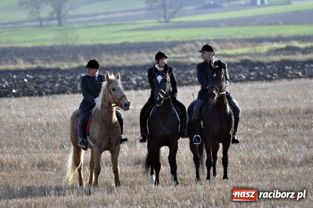 Zdjęcie w galerii na portalu naszraciborz.pl: Lis złapany w OKAMGNIENIU wiadomości z regionu