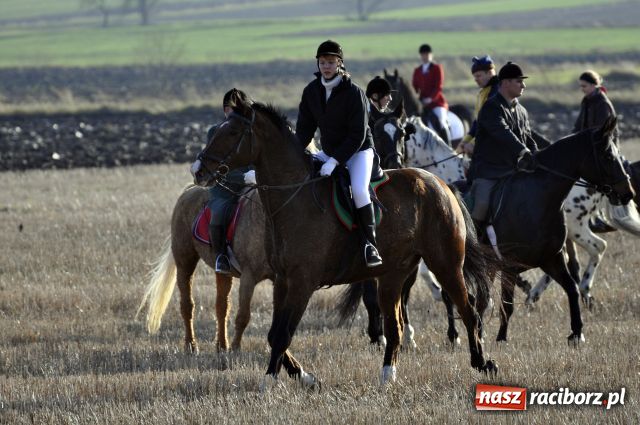 Zdjęcie w galerii na portalu naszraciborz.pl: Lis złapany w OKAMGNIENIU wiadomości z regionu