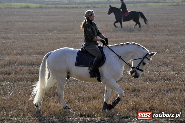 Zdjęcie w galerii na portalu naszraciborz.pl: Lis złapany w OKAMGNIENIU wiadomości z regionu
