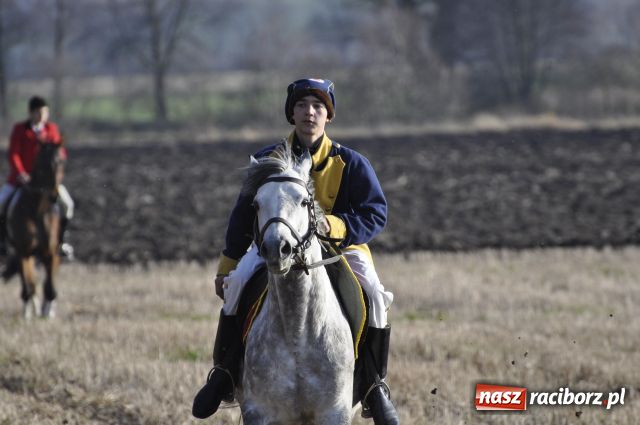 Zdjęcie w galerii na portalu naszraciborz.pl: Lis złapany w OKAMGNIENIU wiadomości z regionu