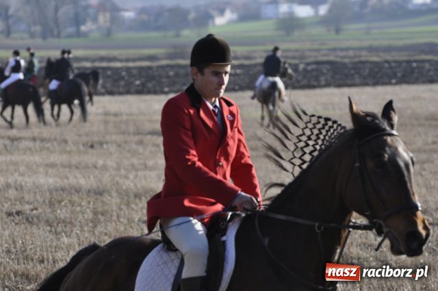 Zdjęcie w galerii na portalu naszraciborz.pl: Lis złapany w OKAMGNIENIU wiadomości z regionu