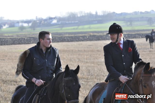 Zdjęcie w galerii na portalu naszraciborz.pl: Lis złapany w OKAMGNIENIU wiadomości z regionu