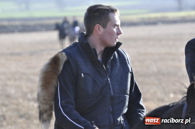 Zdjęcie w galerii na portalu naszraciborz.pl: Lis złapany w OKAMGNIENIU wiadomości z regionu