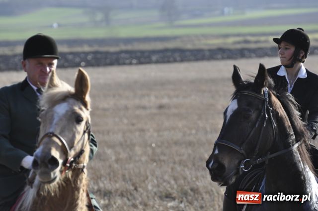 Zdjęcie w galerii na portalu naszraciborz.pl: Lis złapany w OKAMGNIENIU wiadomości z regionu