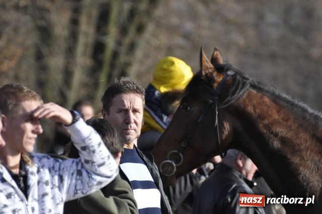 Zdjęcie w galerii na portalu naszraciborz.pl: Lis złapany w OKAMGNIENIU wiadomości z regionu