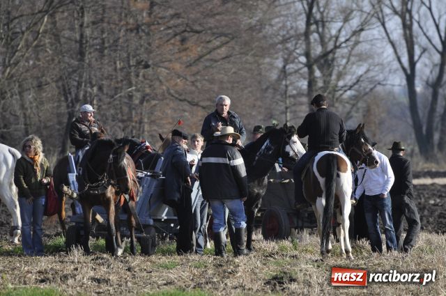 Zdjęcie w galerii na portalu naszraciborz.pl: Lis złapany w OKAMGNIENIU wiadomości z regionu