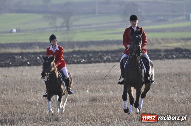 Zdjęcie w galerii na portalu naszraciborz.pl: Lis złapany w OKAMGNIENIU wiadomości z regionu