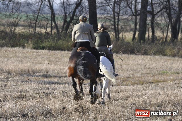 Zdjęcie w galerii na portalu naszraciborz.pl: Lis złapany w OKAMGNIENIU wiadomości z regionu
