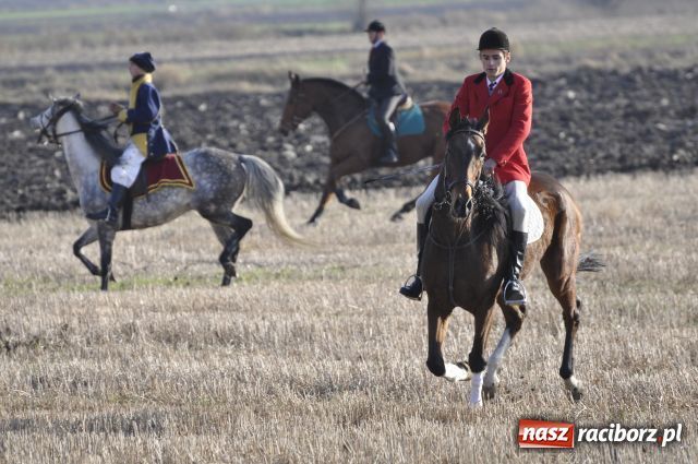 Zdjęcie w galerii na portalu naszraciborz.pl: Lis złapany w OKAMGNIENIU wiadomości z regionu