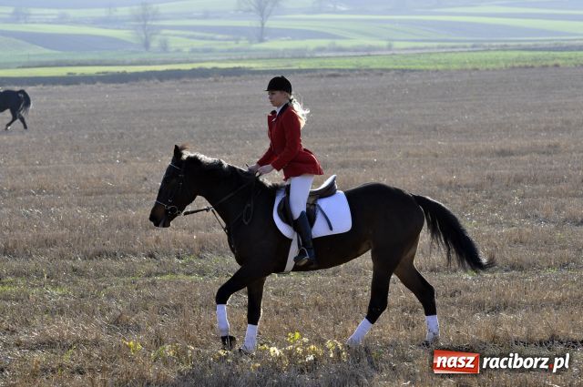 Zdjęcie w galerii na portalu naszraciborz.pl: Lis złapany w OKAMGNIENIU wiadomości z regionu