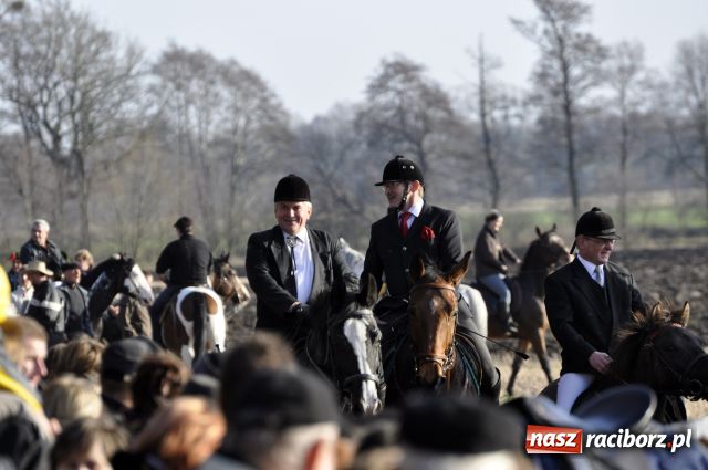 Zdjęcie w galerii na portalu naszraciborz.pl: Lis złapany w OKAMGNIENIU wiadomości z regionu