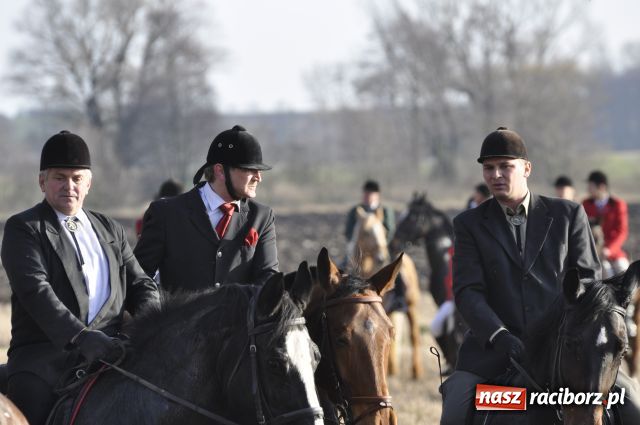 Zdjęcie w galerii na portalu naszraciborz.pl: Lis złapany w OKAMGNIENIU wiadomości z regionu