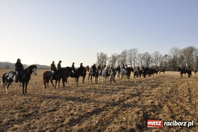 Zdjęcie w galerii na portalu naszraciborz.pl: Lis złapany w OKAMGNIENIU wiadomości z regionu