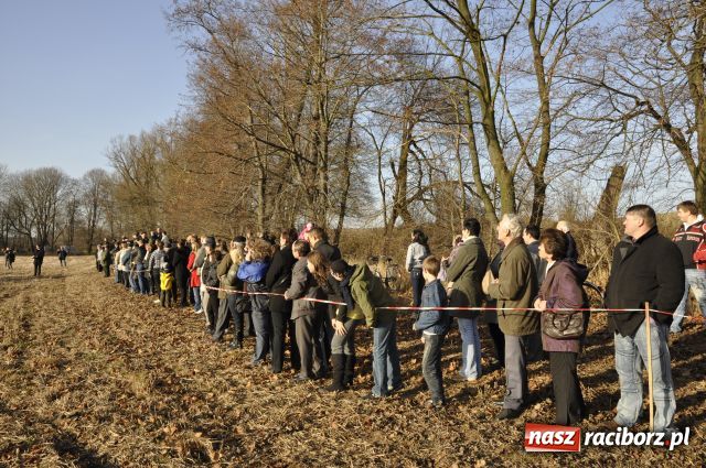 Zdjęcie w galerii na portalu naszraciborz.pl: Lis złapany w OKAMGNIENIU wiadomości z regionu