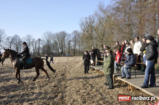 Zdjęcie w galerii na portalu naszraciborz.pl: Lis złapany w OKAMGNIENIU wiadomości z regionu