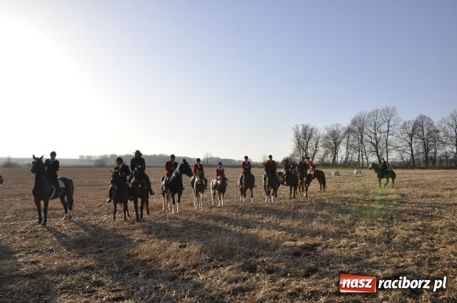 Zdjęcie w galerii na portalu naszraciborz.pl: Lis złapany w OKAMGNIENIU wiadomości z regionu