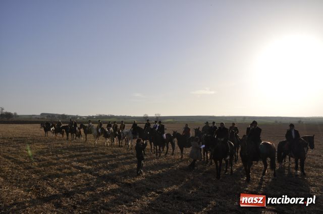 Zdjęcie w galerii na portalu naszraciborz.pl: Lis złapany w OKAMGNIENIU wiadomości z regionu