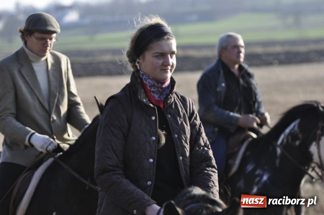 Zdjęcie w galerii na portalu naszraciborz.pl: Lis złapany w OKAMGNIENIU wiadomości z regionu