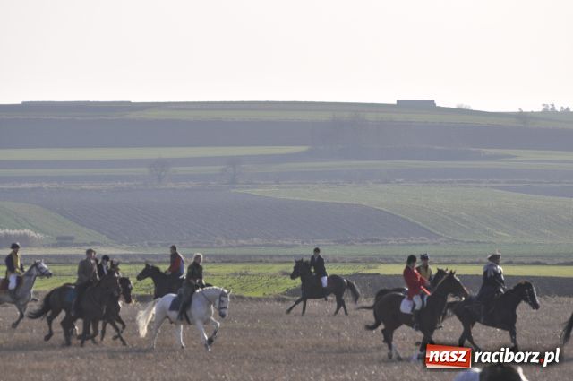 Zdjęcie w galerii na portalu naszraciborz.pl: Lis złapany w OKAMGNIENIU wiadomości z regionu