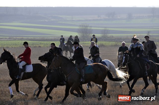 Zdjęcie w galerii na portalu naszraciborz.pl: Lis złapany w OKAMGNIENIU wiadomości z regionu