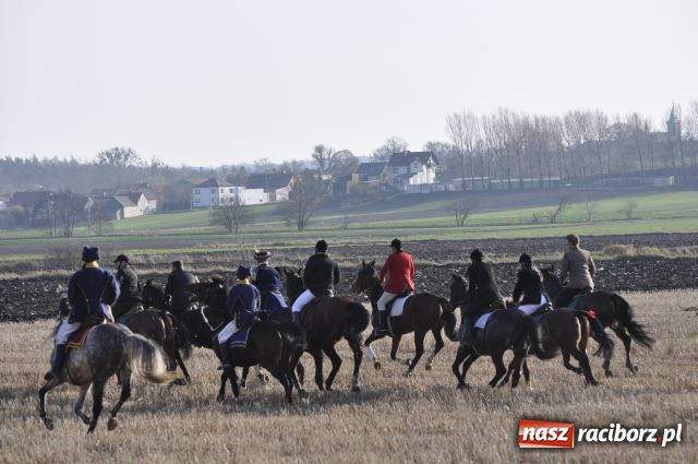Zdjęcie w galerii na portalu naszraciborz.pl: Lis złapany w OKAMGNIENIU wiadomości z regionu