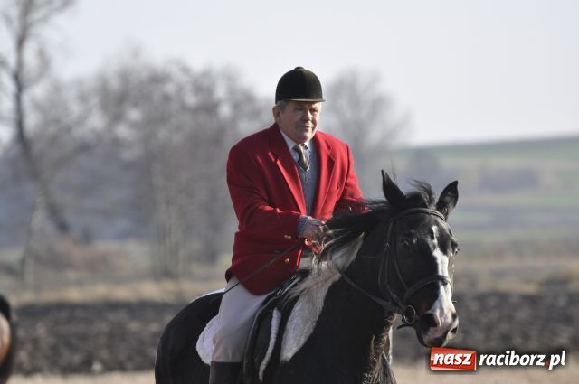 Zdjęcie w galerii na portalu naszraciborz.pl: Lis złapany w OKAMGNIENIU wiadomości z regionu