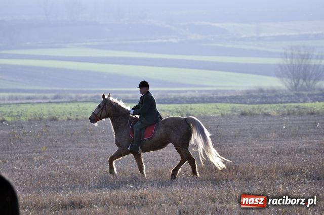 Zdjęcie w galerii na portalu naszraciborz.pl: Lis złapany w OKAMGNIENIU wiadomości z regionu