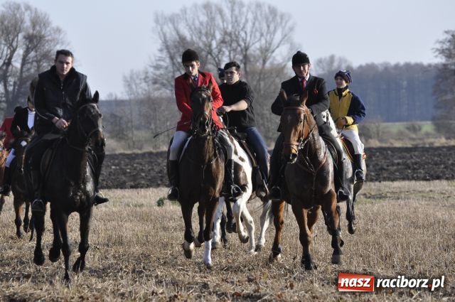 Zdjęcie w galerii na portalu naszraciborz.pl: Lis złapany w OKAMGNIENIU wiadomości z regionu