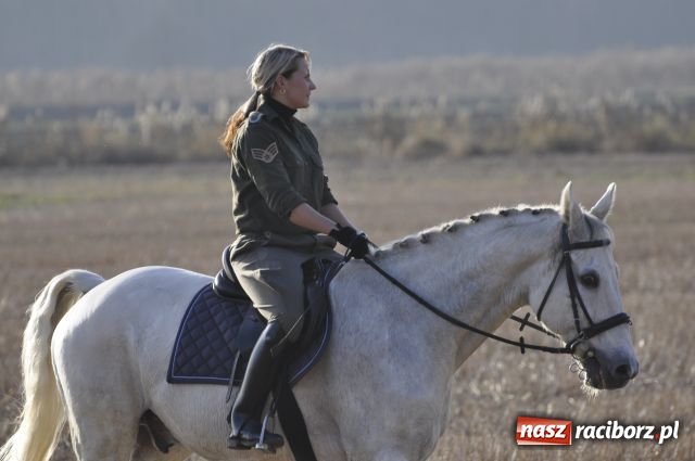 Zdjęcie w galerii na portalu naszraciborz.pl: Lis złapany w OKAMGNIENIU wiadomości z regionu