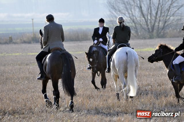 Zdjęcie w galerii na portalu naszraciborz.pl: Lis złapany w OKAMGNIENIU wiadomości z regionu