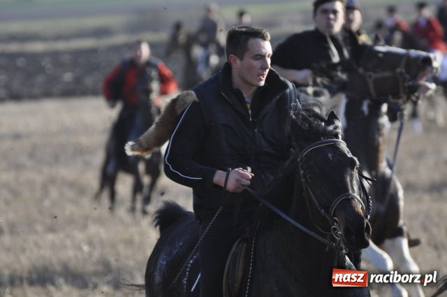 Zdjęcie w galerii na portalu naszraciborz.pl: Lis złapany w OKAMGNIENIU wiadomości z regionu