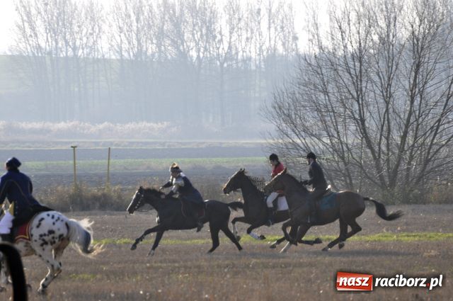 Zdjęcie w galerii na portalu naszraciborz.pl: Lis złapany w OKAMGNIENIU wiadomości z regionu