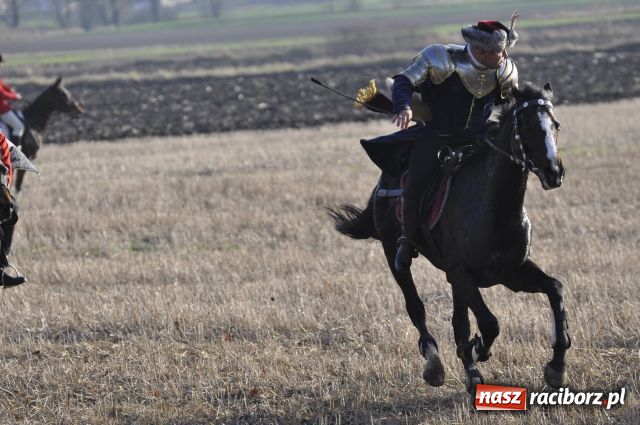 Zdjęcie w galerii na portalu naszraciborz.pl: Lis złapany w OKAMGNIENIU wiadomości z regionu