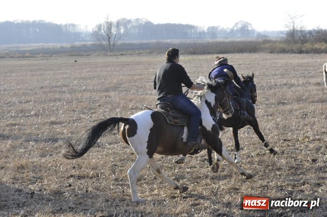 Zdjęcie w galerii na portalu naszraciborz.pl: Lis złapany w OKAMGNIENIU wiadomości z regionu