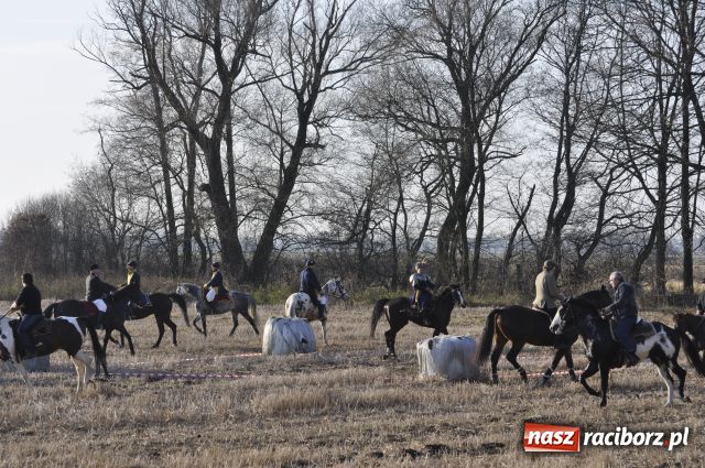 Zdjęcie w galerii na portalu naszraciborz.pl: Lis złapany w OKAMGNIENIU wiadomości z regionu