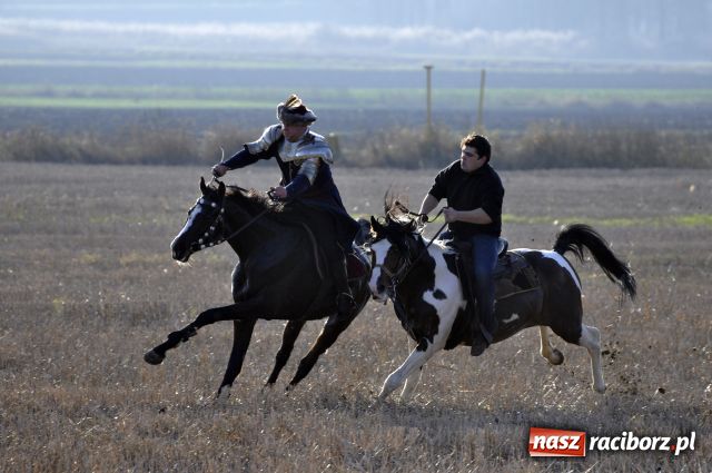 Zdjęcie w galerii na portalu naszraciborz.pl: Lis złapany w OKAMGNIENIU wiadomości z regionu