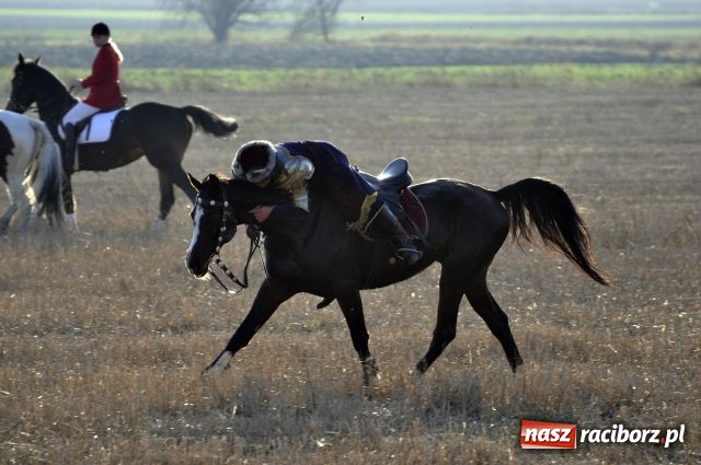 Zdjęcie w galerii na portalu naszraciborz.pl: Lis złapany w OKAMGNIENIU wiadomości z regionu