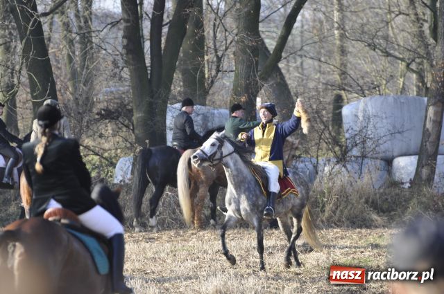 Zdjęcie w galerii na portalu naszraciborz.pl: Lis złapany w OKAMGNIENIU wiadomości z regionu
